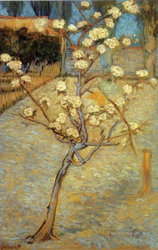 Peral en flor Vincent van Gogh Pinturas al óleo